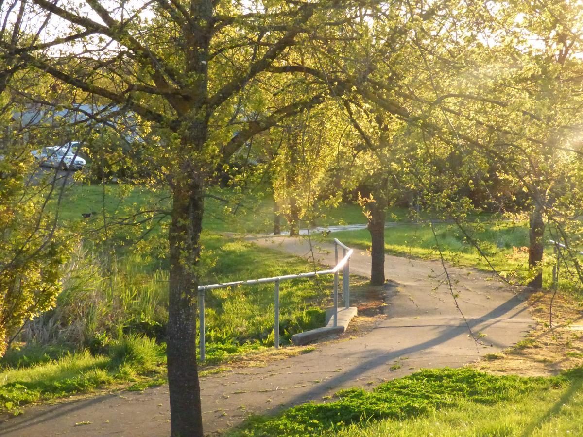 A Suite Spot In The Hills Mount Barker Buitenkant foto